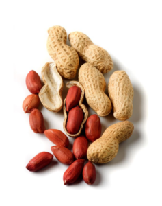 Buy Premium Peanuts Online – Hyderabad Dry Fruits